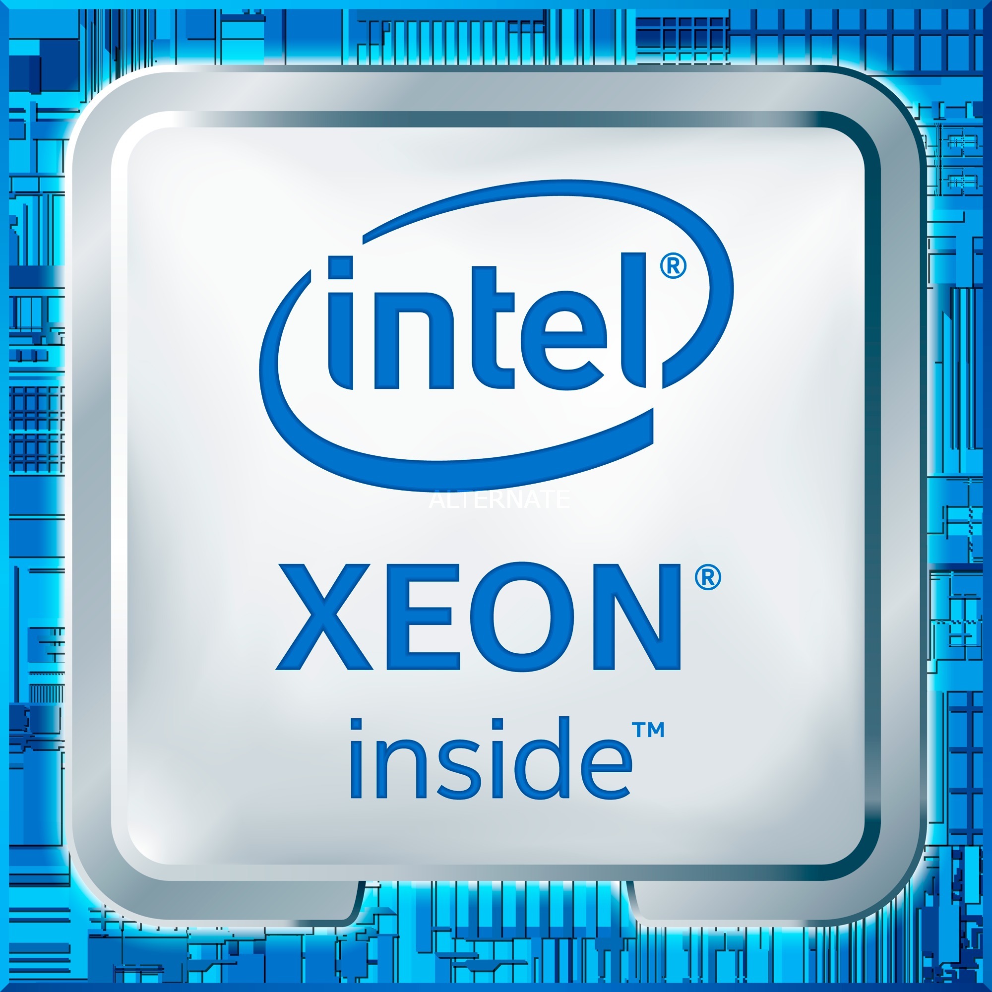 Intel Xeon W-2225 4.1 GHz 4 Kerne 8 Threads 8.25 MB Cache-Speicher LGA2066 Socket OEM (CD8069504394102)