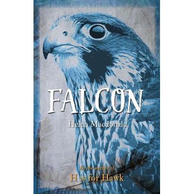 Falcon, Taschenbuch von Helen Macdonald, Reaktion Books, 978-1-78023-641-4