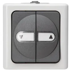 Kopp 561556004 Jalousieschalter AP-FR 10AX 250V IP44 Blueelectric grau
