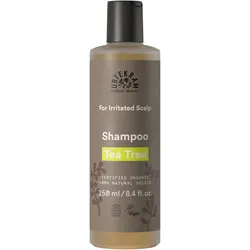 2x Urtekram, Shampoo, Teebaum (Flüssiges Shampoo, 250 ml)