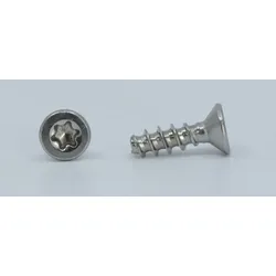 Senkschraube für Thermoplaste A2 - 4x14 - TX20