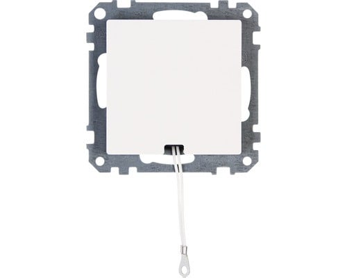 Kopp 295829001 Wit 250 V 10 A