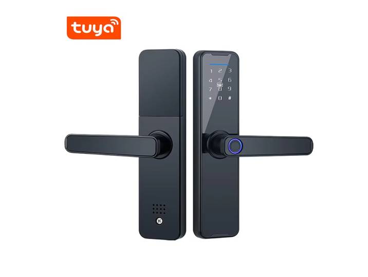 Tuya-Serrure de porte intelligente avec mot de passe, clavier numérique, carte de verrouillage électronique, empreinte digitale prédire, Bluetooth, sans clé