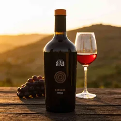 Cantine di Dolianova 2016 Cantine di Dolianova Arenda Monica di Sardegna 2016 Monica Italien