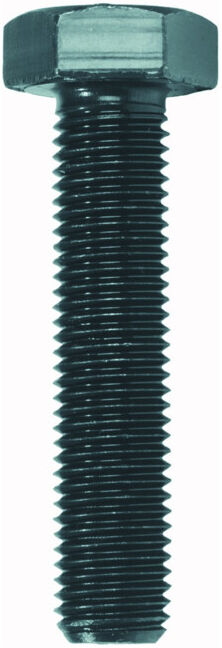 Ruko Vis de rechange MF 10 x 1,0 x 45 (103110)