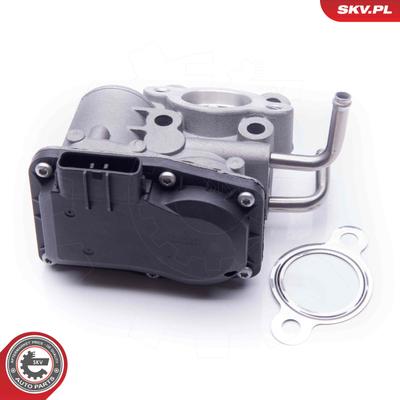 ESEN SKV AGR-Ventil 14SKV189 für Subaru