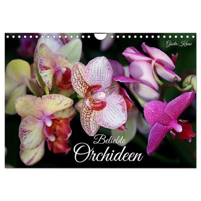 Beliebte Orchideen (Wandkalender 2027 DIN A4 quer), CALVENDO Monatskalender