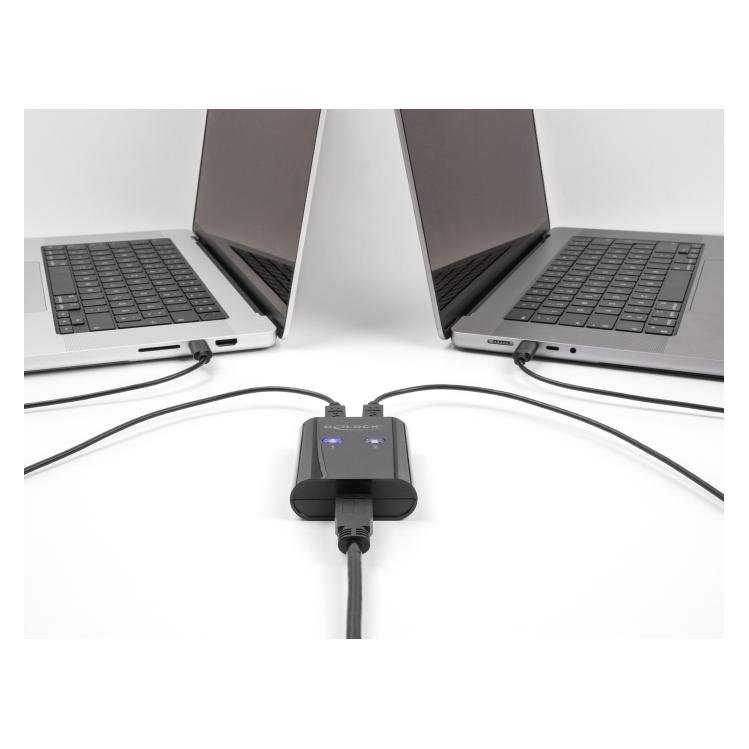 Delock USB 5 Gbps Switch für 2 PC an 1 Gerät (11508)