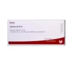 Amnion Gl D12 Ampullen 10X1 ml Ampullen