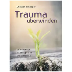 Trauma überwinden, Ratgeber von Christian Schopper