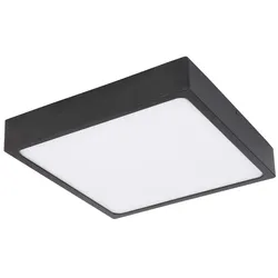 LED Deckenleuchte Deckenlampe graphit Opal Metall H 2,6 cm Wohnzimmer Schlafzimmer