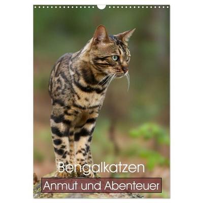 Bengalkatzen - Anmut und Abenteuer (Wandkalender 2027 DIN A3 hoch), CALVENDO Monatskalender
