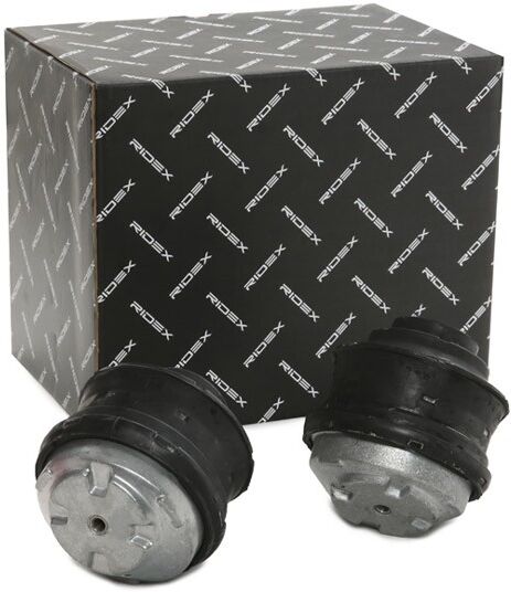 RIDEX 247E0798 Engine mount