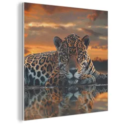 AKUSTIKBILD Natur - Leopard - Tier - Sonnenuntergang - Modern Wandbilder 60x60 cm