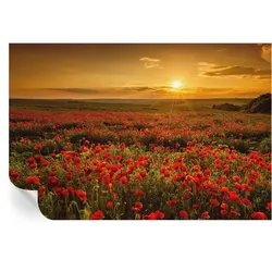 FOTOTAPETE 104x70 cm - Mohnfeld