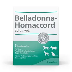 BELLADONNA HOMACCORD ad us.vet.Ampullen 5 St