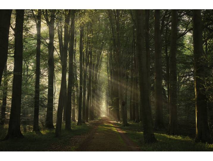 Fototapete PAPERMOON Photo-Art VINCENT CROCE, DAS ESSENZIELLE , bunt, B:3m L:2,23m, Vlies, Tapeten, Fototapete