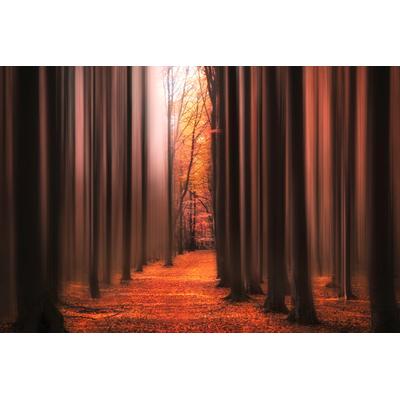 Fototapete PAPERMOON "Photo-Art CHRISTIAN LINDSTEN, WECKE MICH NICHT AUF", bunt, B:4m L:2,6m, Vlies, Tapeten
