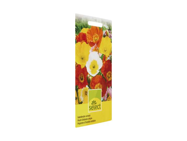 Select Papaver Islandmohn Mischung