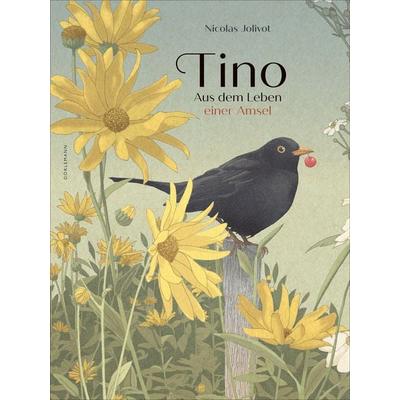 Tino, Gebundene Ausgabe von Nicolas Jolivot, Dörlemann, 978-3-03820-207-3