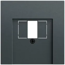 Gira Zentralplatte USB/TAE 1-fach anthrazit 027673 Schraubbefestigung