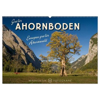 Großer Ahornboden - Europas großer Ahornwald (Wandkalender 2026 DIN A2 quer), CALVENDO Monatskalender