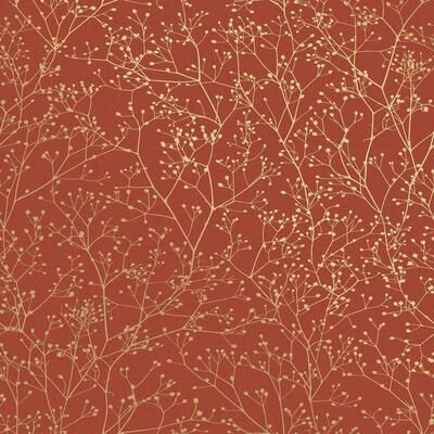 Clarissa Hulse Gypsophila Paprika and Gold Wallpaper