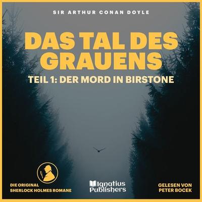 Das Tal des Grauens (Teil 1: Der Mord in Birstone) - Arthur Conan Doyle, Audio, 9783991719977