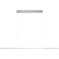 Hell LED-Pendelleuchte Ole Alu, Eisen, Stahl & Metall Grau Alu