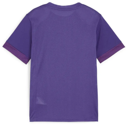 PUMA teamGOAL Matchday Trikot Kinder 10 - team violet/puma white/purple pop 116