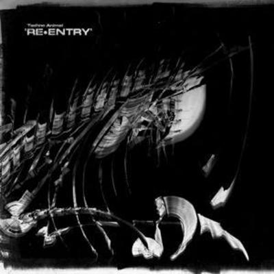 Re-Entry (Reissue) - Techno Animal, CD