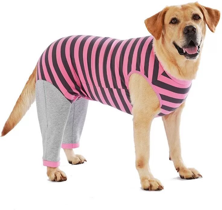 INF Corgi Teddy Hunde Kleidung für kleine bis große Hunde - Herbst- und Winterbekleidung S Rosa