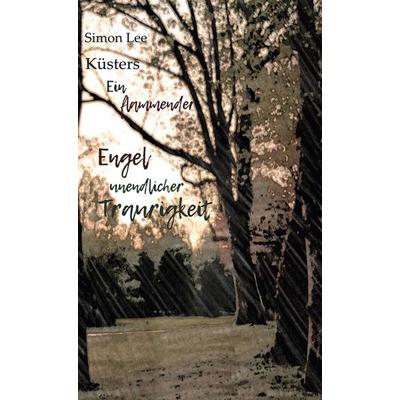 Ein flammender Engel unendlicher Traurigkeit, Gebundene Ausgabe von Simon Lee Küsters, BoD – Books on Demand, 978-3-7543-2076-1