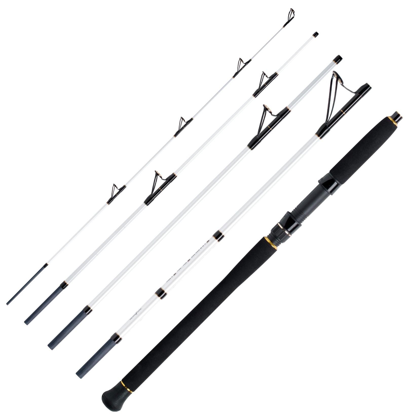 WFT Pollack Jigger Salzmeister 2,65m 20-90g Reiserute 5-Teilig