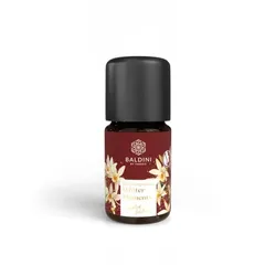 Baldini Winter Moments Aromamischung
