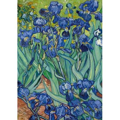 Notizbuch A4 blanko Softcover - Motiv 'Schwertlilien' (Irises) Vincent van Gogh - 100 Seiten, Taschenbuch von Notizbuch A4,Notebook A4, Liwi