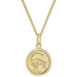 trendor 28468-01 Kinder Sternzeichen Steinbock Gold 333 mit vergoldeter Kette, 40 cm