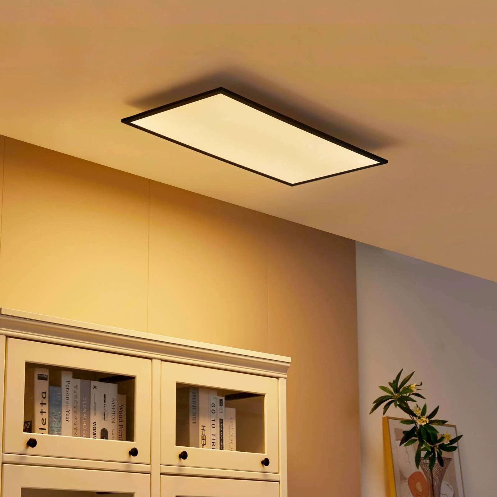 Lindby Lamin LED plafondlamp, modern, zwart, dimbaar met afstandsbediening