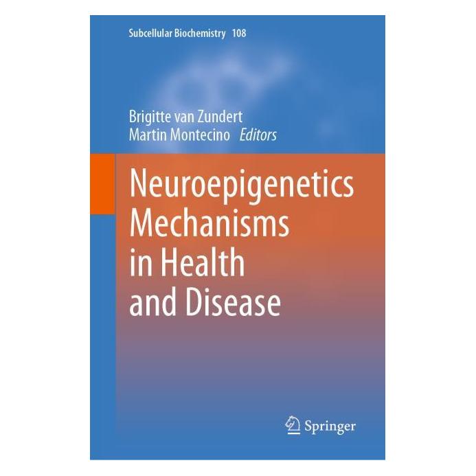 Springer Neuroepigenetics Mechanisms in Health and Disease (Englisch, Hardcover, Brigitte van Zundert, Martin Montecino) (53144917)