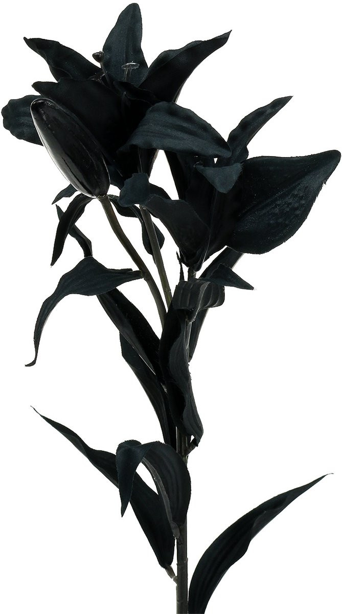 Viana Kunstbloem Lelie Zwart 84 cm