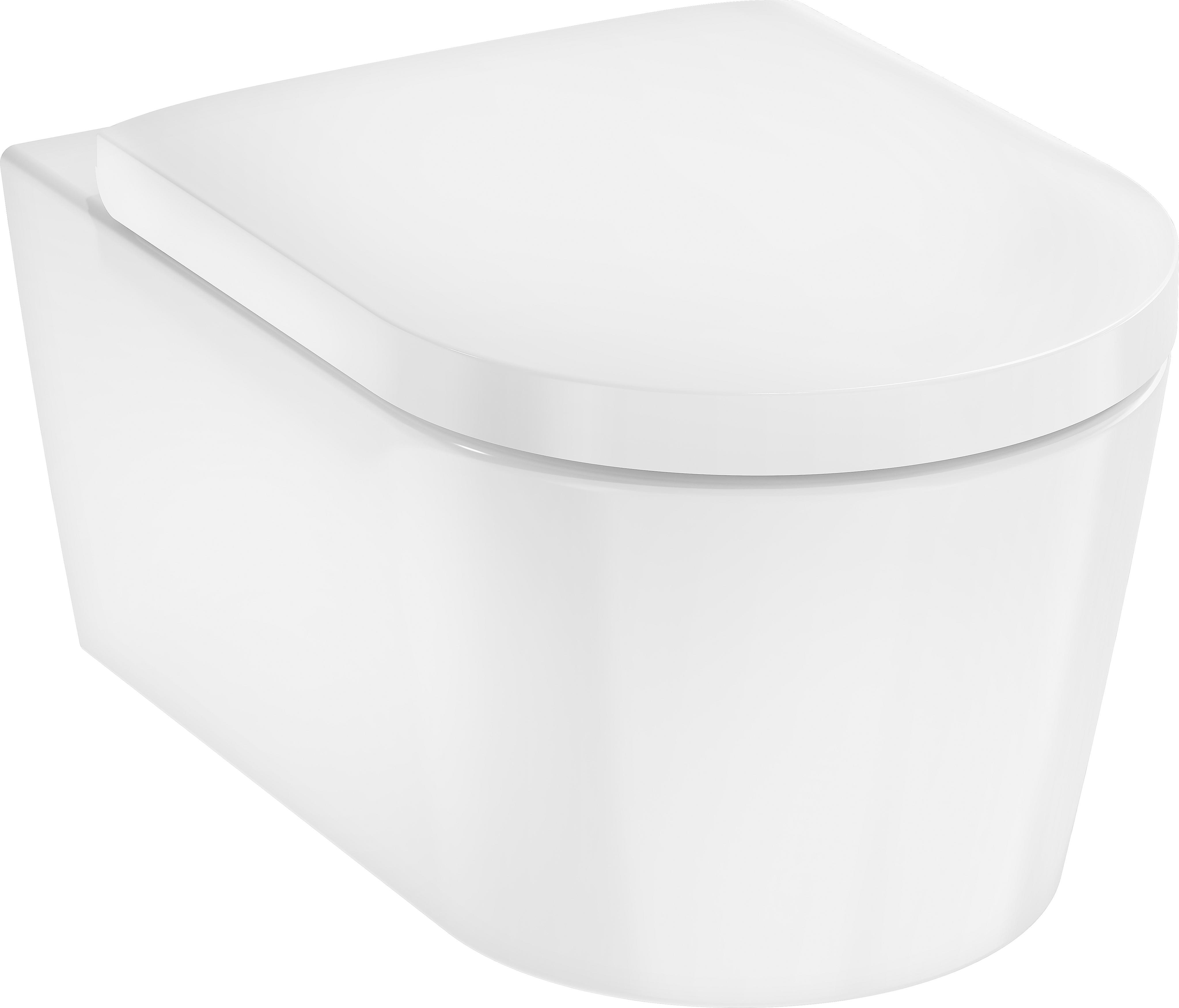 HANSGROHE 61119450 Wand WC Set EluPura S 540x360mm
