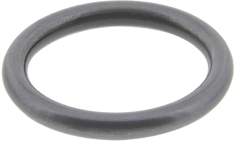 Topran Dichtring, Einspritzventil 100 678 Für Vw