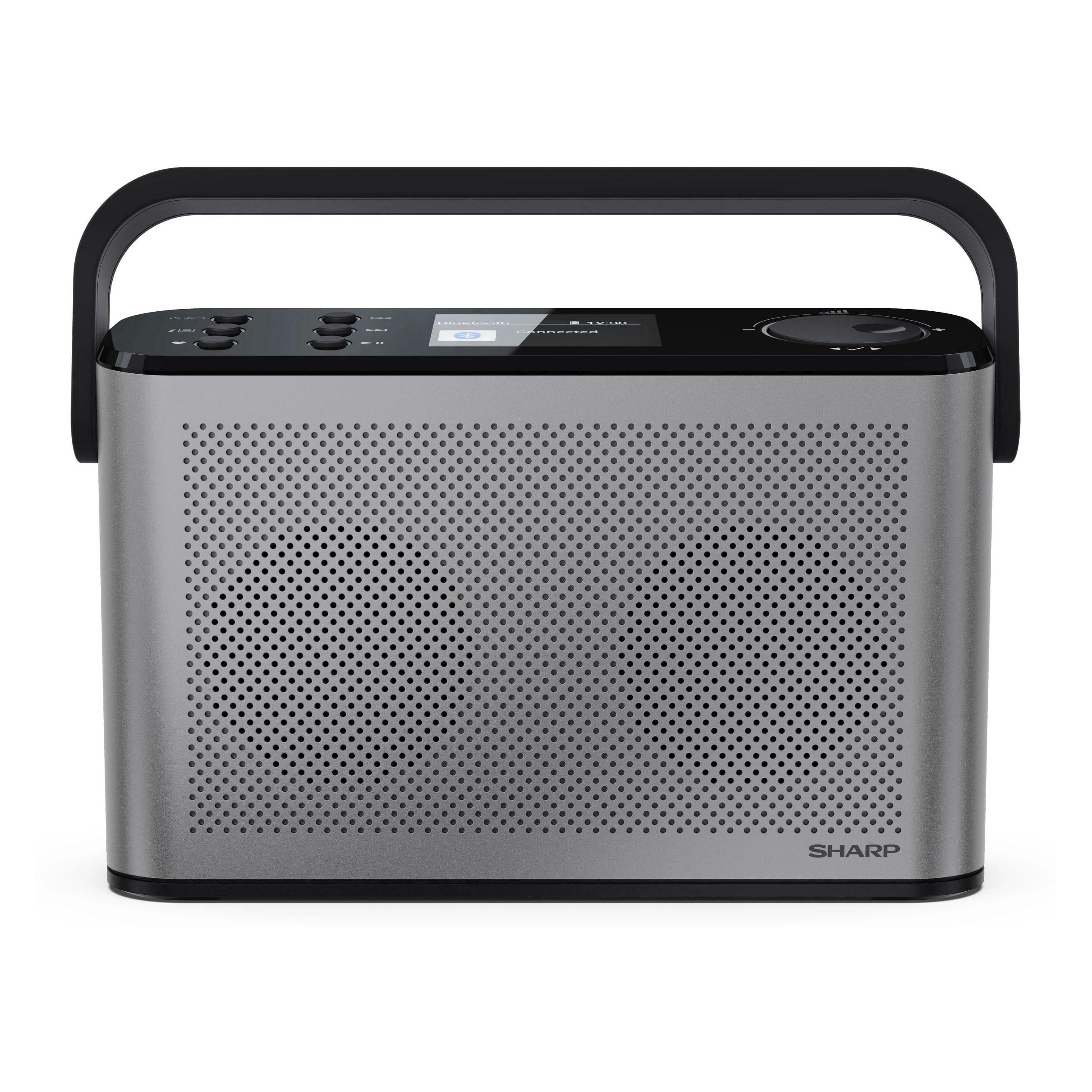 Sharp DR-P540 (DAB, DAB+, FM, Bluetooth) (DR-P540OSAKA)