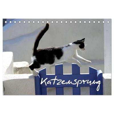 Katzensprung (Tischkalender 2027 DIN A5 quer), CALVENDO Monatskalender