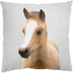 DEKOKISSEN Baby Pferd Philipp 50/50 cm