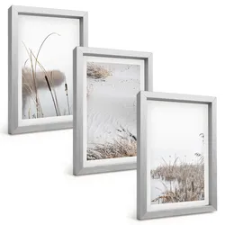 BILDER SET 3er Set - 20x30 cm Silberner Rahmen - Wasserpflanzen im Sommer