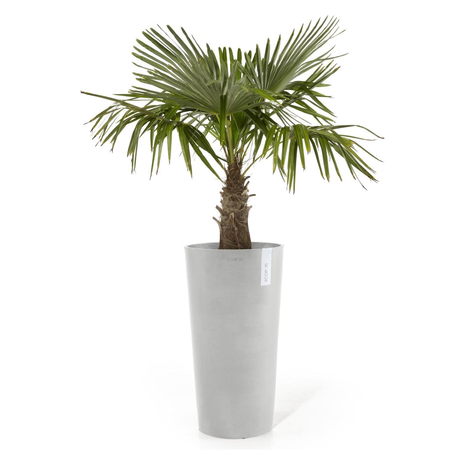 Ecopots Amsterdam halbhoch (34 x 66 cm) (AMMH.66.WG)