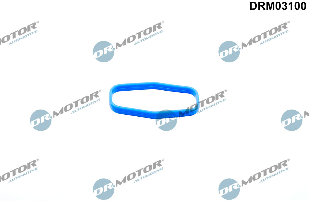 Dr.Motor Automotive Dichtung, Ölpumpe Drm03100 Unten Für Ford Opel Peugeot Toyota