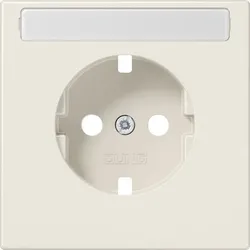 Jung Platte LS 1520 NAPL