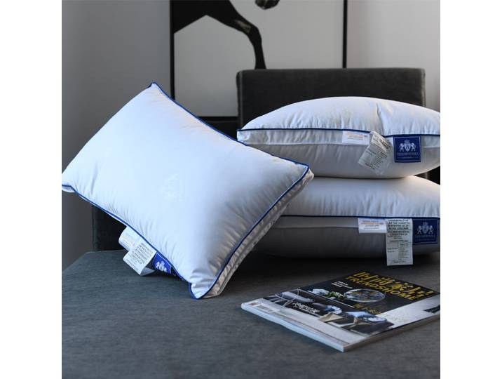 Oreiller en duvet d'oie pour la maison, 100% plumes d'oie, taille unique, hôtel cinq étoiles, noyau d'oreiller pour aider à dormir